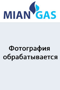 ОК-1М-01-0,3 Обратный клапан (метан)